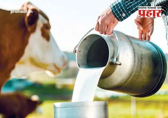 Milk Price Hike : सर्वसामान्यांना महागाईचा नवा झटका; गाई-म्हशीचे दूध महागले! ११ ऑगस्टपासून नवे दर लागू