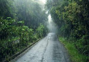 Maharashtra Weather Alert : राज्यात पुन्हा पावसाचा जोर वाढणार; ‘या’ ११ जिल्ह्यांना यलो अलर्ट, कुठे बरसणार मुसळधार?