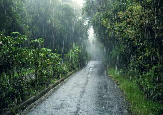 Maharashtra Weather Alert : महाराष्ट्रातील पावसाची प्रतीक्षा कायम; हिंगोली-नांदेडला यलो अलर्ट, हवामान विभागाचा इशारा