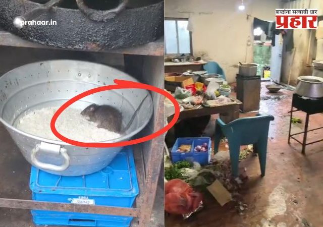 Nalasopara Viral Video : नालासोपाऱ्यात हॉटेलच्या भातावर उंदरांचा हैदोस; ग्राहकांच्या जीवाशी खेळणाऱ्या हॉटेलवर कठोर कारवाईची मागणी