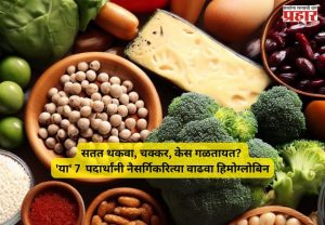Hemoglobin Foods : शरीरात रक्ताची तीव्र कमतरता? औषधं-गोळ्या विसरा! 'हे' ७ पदार्थ नैसर्गिकरित्या वाढवतील हिमोग्लोबिनचा स्तर
