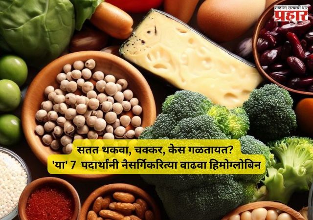 Hemoglobin Foods : शरीरात रक्ताची तीव्र कमतरता? औषधं-गोळ्या विसरा! 'हे' ७ पदार्थ नैसर्गिकरित्या वाढवतील हिमोग्लोबिनचा स्तर