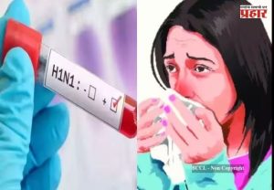 Swine Flu : महाराष्ट्रासह दिल्ली, कर्नाटकात 'स्वाईन फ्लू'च्या रुग्णांच्या संख्येत वाढ