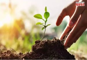 Tree Adoption Scheme : मुंबईत राबवली जाणार वृक्ष दत्तक योजना; महापालिका सभागृहात ठराव मंजूर