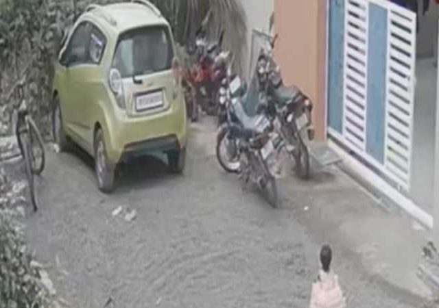 Dog Attack : दोन वर्षांच्या चिमुकलीवर भटक्या कुत्र्याचा जीवघेणा हल्ला