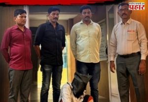 Mumbai Crime : बापरे! गरोदर राहिलेल्या प्रेयसीचा असा काढला काटा... प्रियकराचा तो एक कट अन् सगळंच संपलं