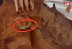 Pune Viarl Video : बाईई... काय हा घाणेरडा प्रकार! महागड्या बेकरीमधून पेस्ट्री मागवली अन् निघाली.....