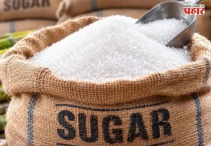 Sugar Price Hike : साखर उत्पादनात मोठी घट; दरवाढीने ग्राहकांना फटका, सरकारने सांगितली ‘ही’ कारणे