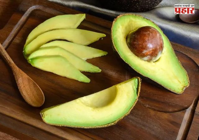 Indian Avocado Benefits : जाणून घ्या भारतीय अवाकाडो खाण्याचे ७ जबरदस्त फायदे; हृदय, डोळे आणि पचनासाठी ठरते फायदेशीर!
