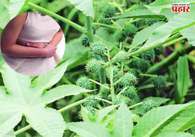 Chhatrapati Sambhajinagar News : गणपतीच्या आरतीनंतर प्रसाद म्हणून एरंडाच्या बिया खाल्ल्या, अन् भयानक घडलं; १३ मुलांना...