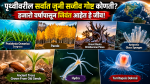 पृथ्वीवरील सर्वात जुनी सजीव गोष्ट कोणती? हजारो वर्षांपासून जिवंत आहेत हे जीव!