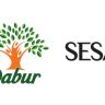 Dabur India : डाबरच्या पोर्टफोलिओत सेसा केअरचा समावेश; NCLTकडून विलीनीकरणाला मंजुरी