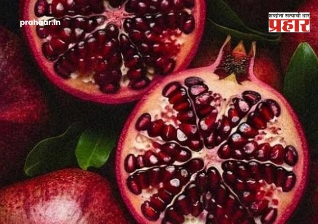 Dattatray Bharne : भारतीय डाळिंबाला जागतिक बाजारपेठेत नवी ओळख मिळवण्यासाठी सर्वांनी एकत्र काम करावे : कृषीमंत्री दत्तात्रय भरणे
