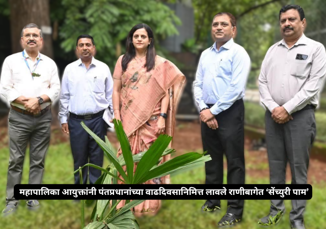 BMC News : महापालिका आयुक्तांनी पंतप्रधानांच्या वाढदिवसानिमित्त लावले राणीबागेत ‘सेंच्युरी पाम’