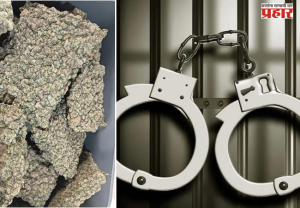 Drug bust Mumbai : मुंबई विमानतळावर ११.८ किलो हायड्रोपोनिक गांजा जप्त; बँकॉकहून आलेल्या महिलेला अटक