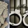Drug bust Mumbai : मुंबई विमानतळावर ११.८ किलो हायड्रोपोनिक गांजा जप्त; बँकॉकहून आलेल्या महिलेला अटक