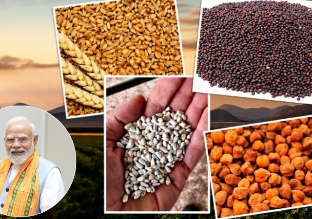 Rabi MSP 2026 : रब्बी पिकांच्या MSP मध्ये मोठी वाढ; केंद्र सरकारचा शेतकऱ्यांसाठी मोठा निर्णय