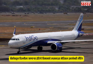 Flight Emergency Landing : बँकॉकहून दिल्लीला जाणाऱ्या इंडिगो विमानाचे लखनऊत मेडिकल इमर्जन्सी लँडिंग; प्रवाशाची प्रकृती बिघडल्याने धावपळ