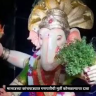 Malad Ganpati : मालाडच्या कांचपाड्यात गणपतीची मूर्ती कोसळल्याचा दावा; व्हिडिओ सोशल मीडियावर व्हायरल