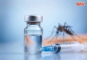 India's First Dengue Vaccine : डेंग्यूचा धोका होणार कमी? भारताची स्वदेशी ‘DengiAll’ लस २०२७ मध्ये येण्याची शक्यता