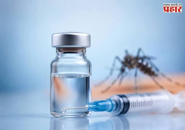 India's First Dengue Vaccine : डेंग्यूचा धोका होणार कमी? भारताची स्वदेशी ‘DengiAll’ लस २०२७ मध्ये येण्याची शक्यता
