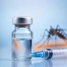 India's First Dengue Vaccine : डेंग्यूचा धोका होणार कमी? भारताची स्वदेशी ‘DengiAll’ लस २०२७ मध्ये येण्याची शक्यता