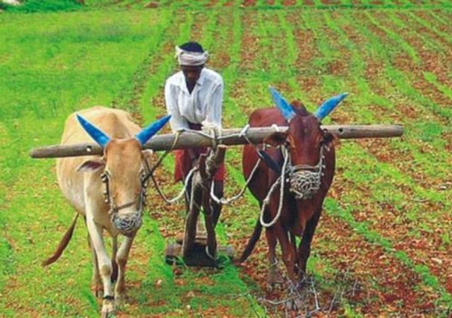 Maharashtra Government : कर्जमुक्ती योजनेतील पात्र शेतकऱ्यांसाठी ३ हजार कोटी