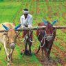 Maharashtra Government : कर्जमुक्ती योजनेतील पात्र शेतकऱ्यांसाठी ३ हजार कोटी