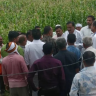 Dhule : मनमाड–इंदूर रेल्वे मार्गासाठी भूसंपादनाला शेतकऱ्यांचा तीव्र विरोध, संयुक्त मोजणीचे पथक माघारी