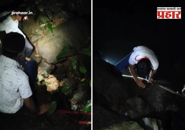 Matheran Suicide News : माथेरानमध्ये दुर्दैवी घटना : अलेक्झांडर पॉईंटवरून २१ वर्षीय तरुणाची १५०० फूट खोल दरीत उडी मारली अन् थेट...