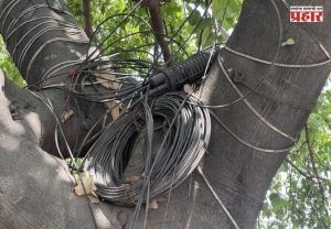 Mumbai Trees Damaged by Cables : टेलिकॉम कंपन्यांच्या केबल्सचा झाडांना विळखा
