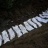Nepal Flood Disaster : मृतांचा आकडा १२०० पार, ४ हजारांहून अधिक जण बेपत्ता
