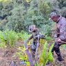 Arunachal Pradesh Terror Attack : अरुणाचल प्रदेशात भारत-म्यानमार सीमेवर मोठा दहशतवादी हल्ला; आसाम रायफल्सचा एक जवान हुतात्मा, ४ जण गंभीर जखमी