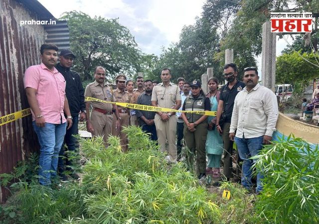 Ahilyanagar News : पोलिसांकडून नशिल्या इंजेक्शचा साठा जप्त; तीन कारवायांत गांजासह पदार्थांसह ३.५ लाखांचा मुद्देमाल ताब्यात
