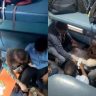 Mumbai Valsad passenger gambling video : मुंबई-वलसाड पॅसेंजर ट्रेनमध्ये जुगाराचा खेळ अन् सीटवर चक्क... व्हायरल व्हिडिओने खळबळ!