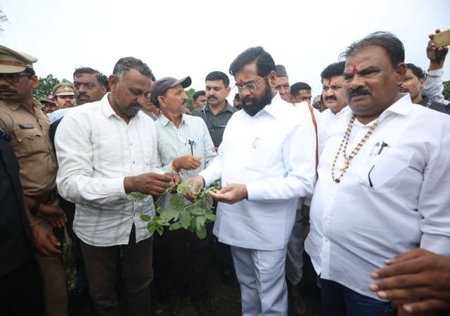 DCM Eknath Shinde News: शेतकऱ्यांची दिवाळी काळी होऊ देणार नाही, उपमुख्यमंत्री एकनाथ शिंदे यांची ग्वाही