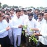 Maharashtra Farmer News: शेतकऱ्यांना पीक विमा, कर्जमुक्तीसह शासनच्या योजनांचा लाभ प्राधान्याने देणार, कृषीमंत्री दत्तात्रय भरणे यांची माहिती