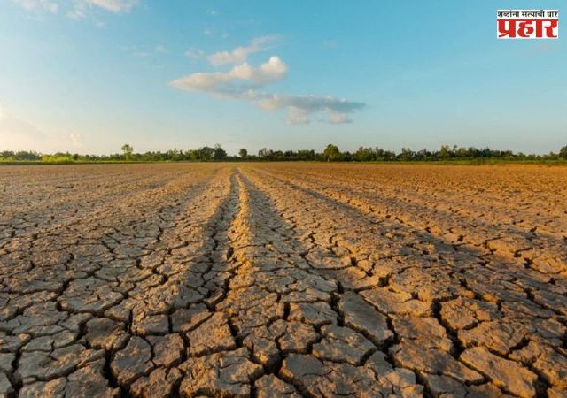 Maharashtra Drought : राज्यात कोरडा दुष्काळ जाहीर करण्याच्या दिशेने हालचाली?