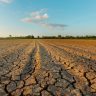 Maharashtra Drought : राज्यात कोरडा दुष्काळ जाहीर करण्याच्या दिशेने हालचाली?