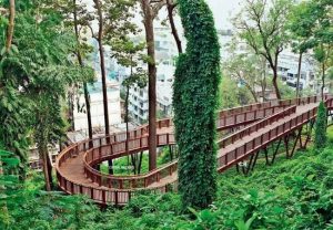 Malabar Hill Reservoir : मलबार हिल टेकडीवर नवीन जलाशय, पण ३०८ झाडे वाचवून