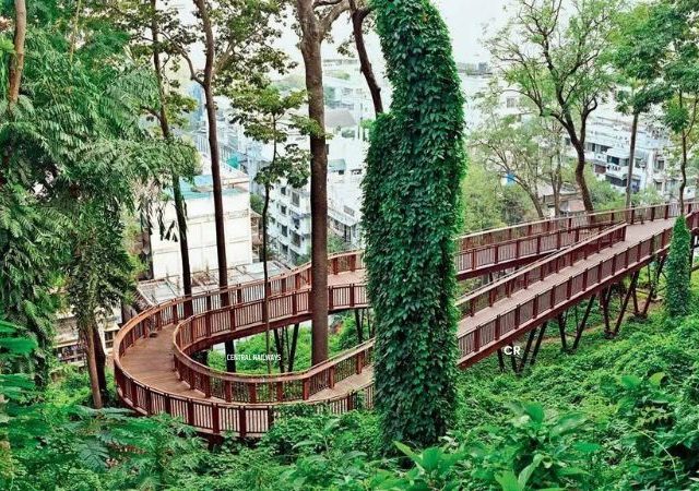 Malabar Hill Reservoir : मलबार हिल टेकडीवर नवीन जलाशय, पण ३०८ झाडे वाचवून