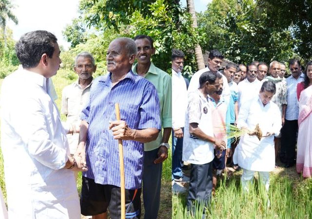 Sindhudurg Drought : सिंधुदुर्गात दुष्काळाची स्थिती गंभीर; शेतकऱ्यांना जास्तीत जास्त मदत मिळवून देणार- मंत्री नितेश राणे