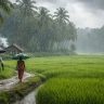 Maharashtra Weather Update : महाराष्ट्रात पावसाची उघडीप कायम; विदर्भ-मराठवाड्यात जोरदार सरींचा अंदाज