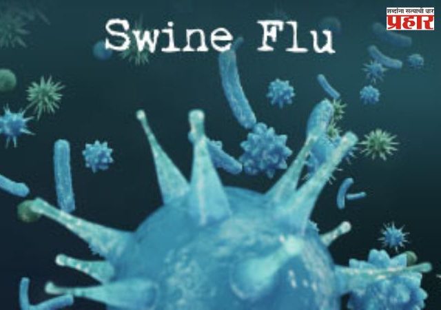 Swine Flu : पिंपरी-चिंचवडमध्ये स्वाईन फ्लूचा वाढता धोका; ऑगस्टमध्ये 31 रुग्ण, पालिकेचा सावधगिरीचा इशारा