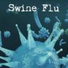 Swine Flu : पिंपरी-चिंचवडमध्ये स्वाईन फ्लूचा वाढता धोका; ऑगस्टमध्ये 31 रुग्ण, पालिकेचा सावधगिरीचा इशारा
