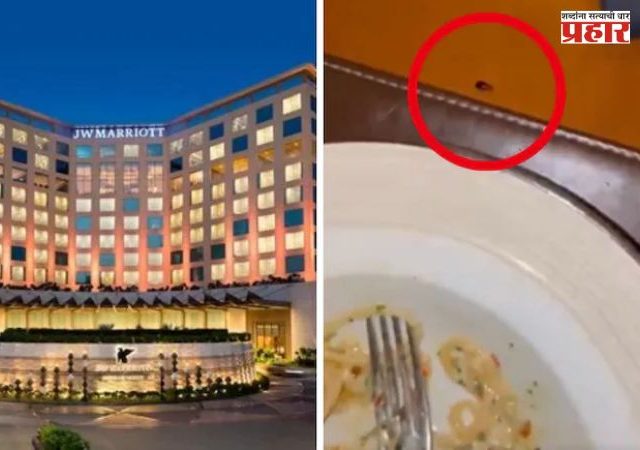 JW Marriott Mumbai : 5स्टार हॉटेलमधील किळसवाणा प्रकार! जेवताना टेबलावर आढळला झुरळ; डॉक्टरांनी शेअर केला व्हिडिओ
