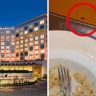 JW Marriott Mumbai : 5स्टार हॉटेलमधील किळसवाणा प्रकार! जेवताना टेबलावर आढळला झुरळ; डॉक्टरांनी शेअर केला व्हिडिओ