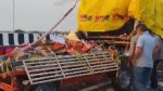 Dhamangaon Accident : समृद्धी महामार्गावर भीषण अपघात; दुर्गामूर्ती आणताना 7 तरुणांचा मृत्यू, 12 जण जखमी