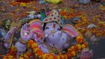 Thane Ganesh Idol Photo Ban: विसर्जित गणेशमूर्तींच्या छायाचित्रणावर ठाणे पोलिसांची बंदी; निर्णयाविरोधात पर्यावरण कार्यकर्ते न्यायालयात