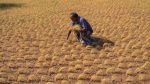 Stay on loan recovery : दुष्काळी भागातील शेतकऱ्यांच्या कर्जवसुलीला स्थगिती